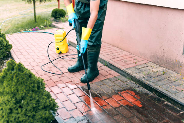 Best Driveway Pressure Washing  in Wilmington Island, GA